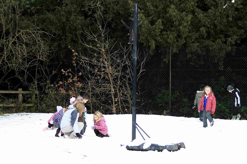 Snowy_Weather_Feb_09 (17)